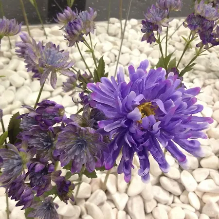 & By 3* Лиссабон